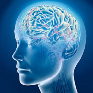 Улучшение Памяти: Ключевые Стратегии и Техники